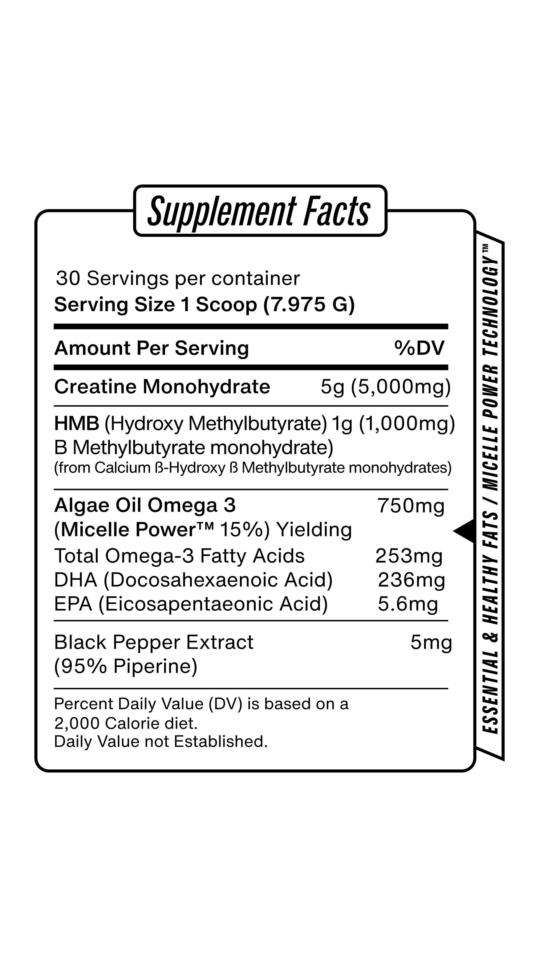 Creatine | Coconut Lemonade